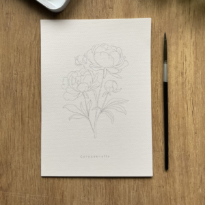Láminas para Colorear Botanical Bloom